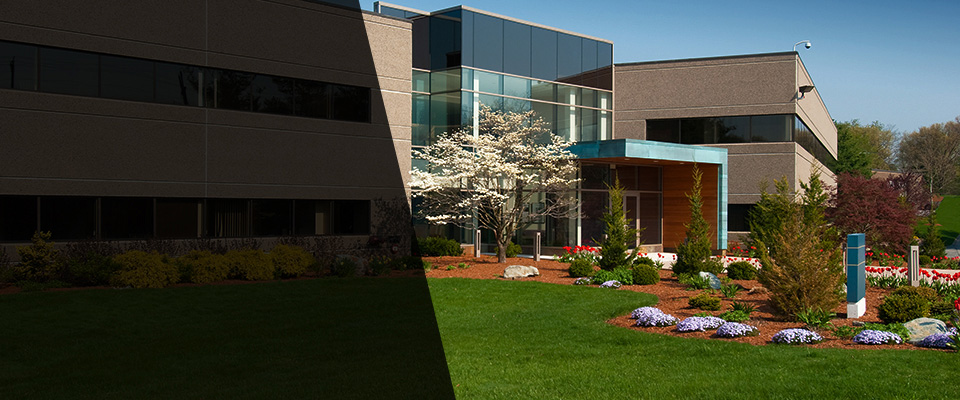 Manhasset Landscapers