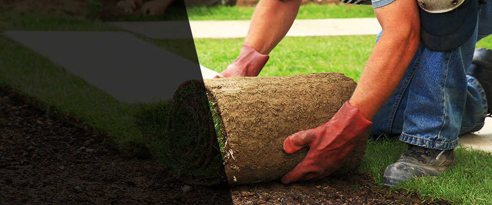 Manhasset Landscapers